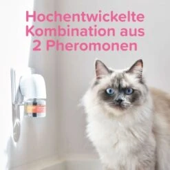 Beaphar CatComfort Excellence Nachfüll-Flakon Für Verdampfer -Tierbedarfs Rabatt Geschäft 62f9ebd7607b7a060b32fb11dae75f2d3caa19ec 1416647 1 1