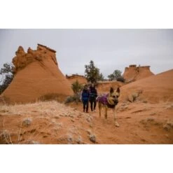 Ruffwear Overcoat Fuse™ Hundejacke Violett XXS 23 Ruffwear Overcoat Fuse™ Hundejacke Violett XXS -Tierbedarfs Rabatt Geschäft 63f0f6c2ce316cb05ad8327a81fc0693c061f7c9 1639761 de DE c1f94f51e318dc9402504b3760a5b7d8c990fb78cnSRrn