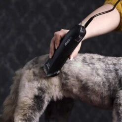 Moser Schermaschine Max 45 Inkl. ASK 10 Moser Schermaschine Max 45 Inkl. ASK -Tierbedarfs Rabatt Geschäft 65133088ba136d425f35dd483b34ae61c5e8b1c4 080d5e15fa2a49473a689925f30b8711ef011135