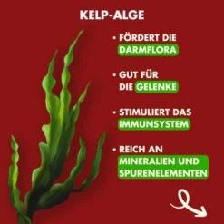 Irish Pure - Rind, Huhn + Gemüse & Kelp 1,5 Kg -Tierbedarfs Rabatt Geschäft 6614a262a5338c400049d067ca043e5726b4882d 1274248 de DE c743aaaf5de4844ec31cc2b80926e5beb042a8ccwoyMTt