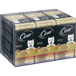 Cesar Multipack Landragout 24x150g