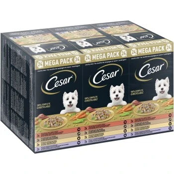 Cesar Multipack Landragout 24x150g 3 Cesar Multipack Landragout 24x150g