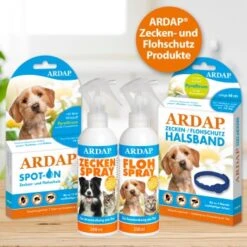 Ardap Anti Zecken Shampoo Für Hunde 250ml 15 Ardap Anti Zecken Shampoo Für Hunde 250ml -Tierbedarfs Rabatt Geschäft 67489d14d5dbe2ab7628c2977eb9e71417cf7f3a 1289723 de DE d407d339cf00e87e4d89af8fa252a32bc10551e0mR6d4Q