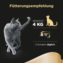 Sheba Selection In Sauce 32x85g -Tierbedarfs Rabatt Geschäft 67890fa30c253ae14afae90d7afce36bf2d4bf55 f3d10d4a2b41518df483944aaa4f3a790f15504c