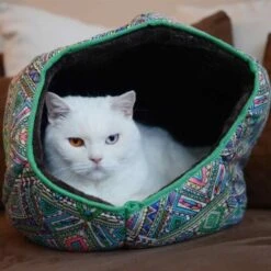 Canadian Cat Company Katzentunnel COSMO M 12 Canadian Cat Company Katzentunnel COSMO M -Tierbedarfs Rabatt Geschäft 67f448259cbca2b76f0f056d6321e3f462cbbfb2 1412665 de DE 5bb2b25340ddb934c05b11da4b3410ce26fcf1f8fEc8B6