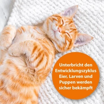 Ardap Langzeit Flohspray Für Die Umgebung 500ml 4 Ardap Langzeit Flohspray Für Die Umgebung 500ml – Bild 2