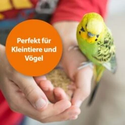 Ardap Milben- Und Zeckenspray Für Nager Und Vögel 100ml 12 Ardap Milben- Und Zeckenspray Für Nager Und Vögel 100ml -Tierbedarfs Rabatt Geschäft 68a588b27c2bdeb958613c196e70f41522c1ca73 1352522 de DE 1626057c073e83595c48b5e38365b5bb10e0c4acyC8yCA