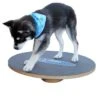 Altranet Fitpaws 20 Wobble Board 2 Altranet Fitpaws 20 Wobble Board -Tierbedarfs Rabatt Geschäft 6b3bbaeae3c0382f7bb151c1300fff960559718a 171bdc7d3481e8a87f6249b6e8ad5cc44472b295