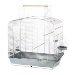 Interzoo Vogelkäfig Sara II 8 Interzoo Vogelkäfig Sara II -Tierbedarfs Rabatt Geschäft 6b66794810b0c99c074810d05bc07c37415c56ae 40301ce63b79a9685489cca850e50029ca61e2b3