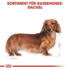 ROYAL CANIN Dachshund Adult 7,5 Kg -Tierbedarfs Rabatt Geschäft 6bc39c31593f9bc89375c029cfa8d6914efbbdb7 9422ca18fd32d71dc307cc6117ea0029d9bf5647