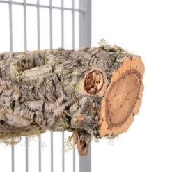 HappyBird Sitzstange Natur Kork L 15 HappyBird Sitzstange Natur Kork L -Tierbedarfs Rabatt Geschäft 6d0844a7f422e6e4f6d2b4a1c2445fcf479ee982 1416844 de DE d001d22e180e742217b40dd4057bd56a2e5e966aWpo2YW