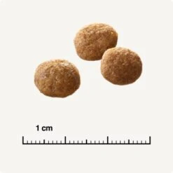 SELECT GOLD +12 Senior Geflügel & Reis 2,5 Kg -Tierbedarfs Rabatt Geschäft 6db53d99e99530132bf34d8482d69f423780c004 1081823016 de DE 6