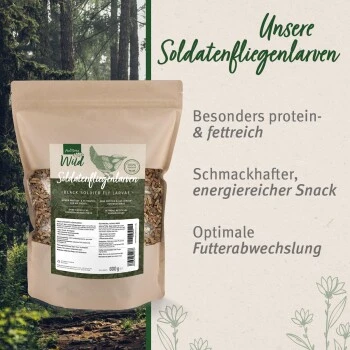 Aniforte Wild Soldatenfliegenlarven 800g 8 Aniforte Wild Soldatenfliegenlarven 800g – Bild 6