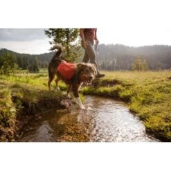 Ruffwear Front Range™ Hundetagesrucksack Rot XS 20 Ruffwear Front Range™ Hundetagesrucksack Rot XS -Tierbedarfs Rabatt Geschäft 6fcda691161ff080a6f6075669f57b606bb5abbe 1639836 de DE 827ca11f058fc24bc21d1c4bb6cec8d9576cc1835E84NB