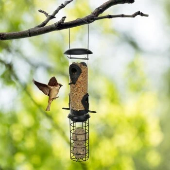 AniOne Futtersäule 2in1 4 AniOne Futtersäule 2in1 – Bild 2