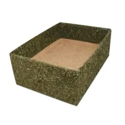 JR Farm "Back To Instinct" Buddel-Box