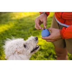 Ruffwear Turnup™ Spielzeug Violett 14 Ruffwear Turnup™ Spielzeug Violett -Tierbedarfs Rabatt Geschäft 708e59a1fbc9e9a4e5a251230d3a5a466a41cd46 1639873 de DE aed329193f910634e544626b706606bf1d9a42e0yMTSe3