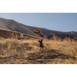 Ruffwear Hover Craft™ Spielzeug Orange 15 Ruffwear Hover Craft™ Spielzeug Orange -Tierbedarfs Rabatt Geschäft 7111f12b44323f3d6c15a85a889225520ab85f0d 1364297 de DE 664accd36f55b32e3ca302e20a868b09c8c0d85ePbTUSI