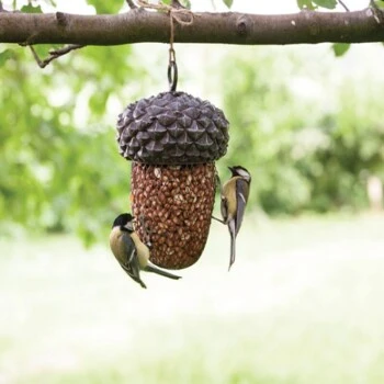 Esschert Futterspender Eichel 4 Esschert Futterspender Eichel – Bild 2