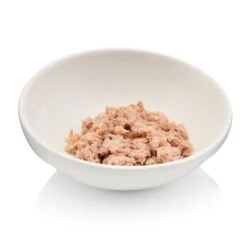 Canadian Cat Company Futterbar Cat Diner 15 Canadian Cat Company Futterbar Cat Diner -Tierbedarfs Rabatt Geschäft 7374ea0a9e3fe9347681d73e38cfddf88778c4d9 1345694 de DE 736a30d8934edf90c8b01e1b34a29dff5e81dab2o6VK2t