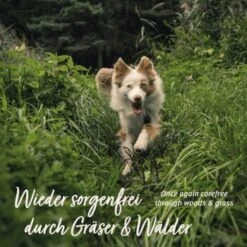 Aniforte Z-Season Snack 350g -Tierbedarfs Rabatt Geschäft 73a9c702b62350d9977522526f40b2f15ac1a87b 1495364 de DE a9f698c76a12bd39e549344514374e4b07a0f5b8wxpq6a