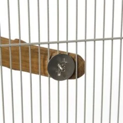 HappyBird Eck-Sitzst Rainforest Corner Perch XL -Tierbedarfs Rabatt Geschäft 75e6d54575ca8b2892a75de8459fb2337e93d6fa 1416836 de DE 6c69ea675004293917d32ca895518145a4e02fa1ona8CG