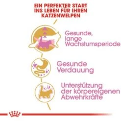 ROYAL CANIN Maine Coon Kitten 4 Kg 11 ROYAL CANIN Maine Coon Kitten 4 Kg -Tierbedarfs Rabatt Geschäft 762fe3d95c521f1c9aed31bc11ea5f813cb64625 48abad1c00ba32352c5f4e40b8a5a9d5e4dec65f