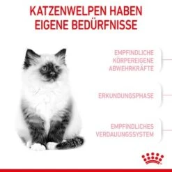 ROYAL CANIN Kitten 4 Kg 14 ROYAL CANIN Kitten 4 Kg -Tierbedarfs Rabatt Geschäft 76c69f287cfbe56e3ecbc6374c1c83282049ff9f 3182550702973 4