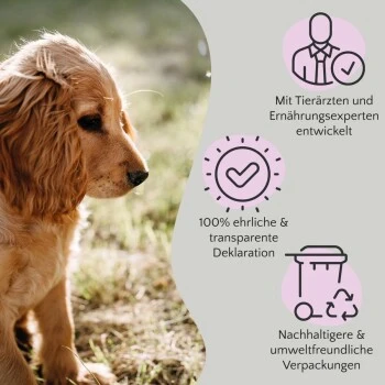 FAVLY Petfood FAVLY Probierpaket "Snack It" 8 FAVLY Petfood FAVLY Probierpaket "Snack It" – Bild 6