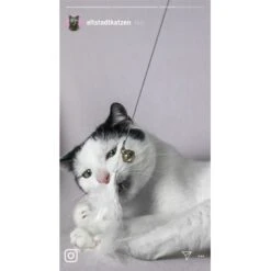 Kater Kasimir Premium Katzenangel Mit 4 Handgemachten Anhängern Aus Naturmaterial 10 Kater Kasimir Premium Katzenangel Mit 4 Handgemachten Anhängern Aus Naturmaterial -Tierbedarfs Rabatt Geschäft 770b4a4773ed49d435287f5ac0f03f94a117604e 1408150 de DE d77919138410a09ab67416f25ec15e6664e9d2ac4JZFQJ