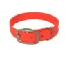 Bio-leine 52-62cm HU Biothane Halsband Orange 24 Cm, 33 Cm -Tierbedarfs Rabatt Geschäft 777a600042d7c2ac4339f6043bcc87a5340ad377 1655312 de DE dcc55b0c5470a52f889f7fa24d52bb26f03902f4FEJIGq