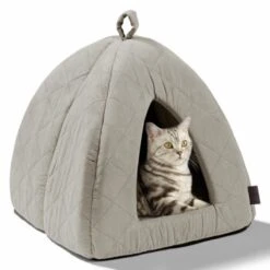 MORE Höhle Diamond -Tierbedarfs Rabatt Geschäft 7939acaef98cdb9195a642e4ff359691740fc0e9 84dbe0d60d2ca1e5170055a2164cc0d47aaedf72