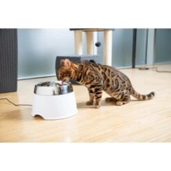 AniOne Edelstahl-Trinkbrunnen Trevi Ohne Ersatzfilter 7 AniOne Edelstahl-Trinkbrunnen Trevi Ohne Ersatzfilter -Tierbedarfs Rabatt Geschäft 7a066af048695bbfaeca0a855e5984fc3bf99d03 689fcf415d486ac05c07f2a4868b1d087d7a9ece