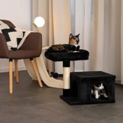 Lionto Kratzbaum 50 Cm Schwarz 10 Lionto Kratzbaum 50 Cm Schwarz -Tierbedarfs Rabatt Geschäft 7a4fdb048438d7541c9e09a10efabe693bc4320b 1657017 de DE 254b7c9c0cfdc7971bd88e8e452f13909c8f2c09Qbu3kJ