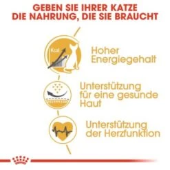 ROYAL CANIN Sphynx Adult 10 Kg 15 ROYAL CANIN Sphynx Adult 10 Kg -Tierbedarfs Rabatt Geschäft 7ad1bdc3999349cafae1459c3c182b6552d5adfd b7ee4724e59d51ce320d09e32faae7a8df47303e