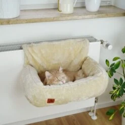 Schlitzohr Heizungsliege Lucky Beige -Tierbedarfs Rabatt Geschäft 7bab29708c56b6f70695735987b821094f74efb9 1484673 de DE 775053056e82816b2424b888f536a523a0880ea7ZfMupV