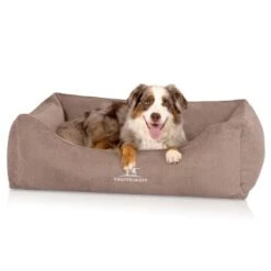 Knuffelwuff Orthopädisches Hundebett Mit Fächer-Wendekissen Baltimore Beige M-L 11 Knuffelwuff Orthopädisches Hundebett Mit Fächer-Wendekissen Baltimore Beige M-L -Tierbedarfs Rabatt Geschäft 7db3e1a0c07b06fbbffb9c499d68b8d29fe02a5d 1412225 de DE 96b0dc269c57c45d2a760eeab3915071ac28fc79GWqBkT
