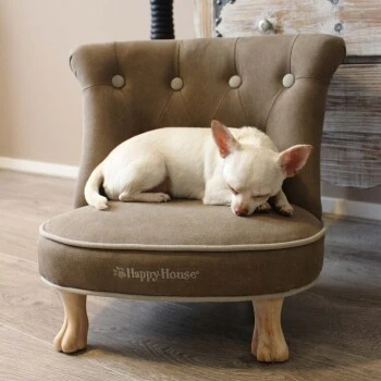 Happy House Sessel 5 Happy House Sessel – Bild 3