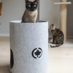 Canadian Cat Company Filzbett Owen-Tower 12 Canadian Cat Company Filzbett Owen-Tower -Tierbedarfs Rabatt Geschäft 7de15b7ab3d0a3da50a54b91f1a6b746b12be302 1394209 de DE 768a45a9be27cfd0fb27e1bf0942b4e67e500c7ee16ity