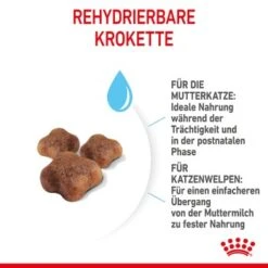 ROYAL CANIN Mother & Babycat 2 Kg -Tierbedarfs Rabatt Geschäft 7de9161ec8af5d8e5fb59d6589cba97c3ecae1bf 3182550707329 5