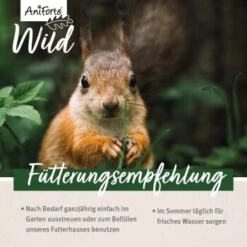 Aniforte Eichhörnchenfutter 1 Kg 14 Aniforte Eichhörnchenfutter 1 Kg -Tierbedarfs Rabatt Geschäft 7f73354bcb021e39248f5969efdc2ec1bb139b57 1472622 de DE 16db3f538f09bf1ee026ff31ba098faa34552b8192Yma4