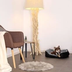 Lionto Hundekissen, Hundebett / Katzenbett Mit Wendekissen Grau/ Schwarz S -Tierbedarfs Rabatt Geschäft 823dc7868190f45cea2c3c69e9102b53416c384a 1642112 de DE f5ac064edf3f1139620b324558b4bbfb2c0800472VwXQ8