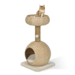 AniOne Kratzbaum Anzo -Tierbedarfs Rabatt Geschäft 8251ae4516bf903fd0d3f9c45aa1bbabf8946a79 e7ecb07cf2644d3862a8042d79dc2f0a59c03802