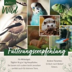 Aniforte Wild Soldatenfliegenlarven 800g 12 Aniforte Wild Soldatenfliegenlarven 800g -Tierbedarfs Rabatt Geschäft 82816c07a7d8f858db2c0bda10accc43bc855928 1659553 de DE f89e8cb412293d454f593b937e30de062cfcf8bc6nYyf5