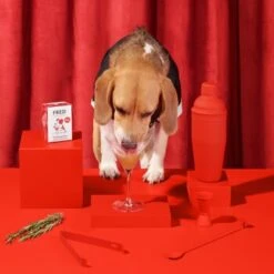 Fred & Felia FRED 10x200g Dog Drink "Wuffmopolian" 6 Fred & Felia FRED 10x200g Dog Drink "Wuffmopolian" -Tierbedarfs Rabatt Geschäft 836bfb6dd73194a62db73e72df2a3ff6435c8521 1422080 de DE 8b70b618129e9c036f3d4ca21a7cc2907535bb5dk5tCe1