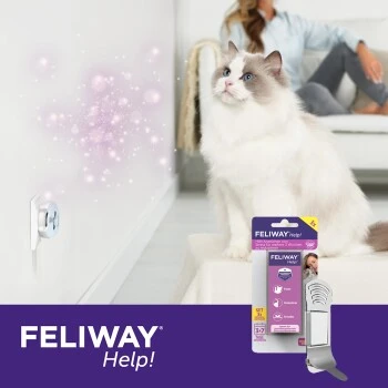 Feliway Help! 3x Nachfüllkartusche Zur Stressreduzierung 7 Feliway Help! 3x Nachfüllkartusche Zur Stressreduzierung – Bild 5