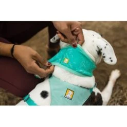 Ruffwear Swamp Cooler™ Kühlendes Halstuch Blau/ Türkis XXS -Tierbedarfs Rabatt Geschäft 84380b323534f706adb064c5f59bfe1f6f8adfcb 1639914 de DE 09b76313830836f68f333eee06c0a6bd83fbeec4Hirkw3