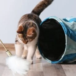 Kater Kasimir Premium Paket Mit 7 Beliebten Katzenspielzeugen Aus Naturmaterial -Tierbedarfs Rabatt Geschäft 84f221d79ef76f1b4f2f0037d329c11c6fce3a33 1408152 de DE 294269527f07b1898ca7562c986e956043828d3cA8xBpO