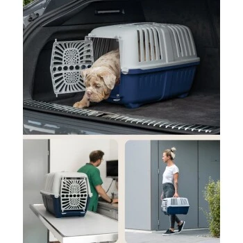 Lionto Transportbox Aus Plastik Dunkelblau S 5 Lionto Transportbox Aus Plastik Dunkelblau S – Bild 3