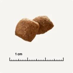 SELECT GOLD Urinary Adult Geflügel & Reis 2,5 Kg 12 SELECT GOLD Urinary Adult Geflügel & Reis 2,5 Kg -Tierbedarfs Rabatt Geschäft 854b6f3783a732e74601afa7a935f9af2b196682 1001086022 de DE 6